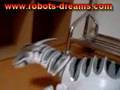 RoboRaptor Roams