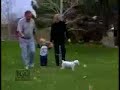 dog narcolepsy sleeping funny sleep