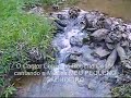 Música Meu Pequeno Cachoeiro. Roberto Carlos Braga. Vídeo Clip produzido e editado por Clério José Borges, com a Música 