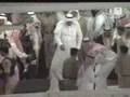 Salaatul Mayit for Princess Lulwa (80) in Masjid Al-Haram, Makkah led by Sheihk Talib