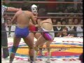 AJW Mimi Hagiwara &Lioness Asuka AJW Mimi Hagiwara &Lioness Asuka