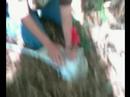 Rock Hunting Episode One