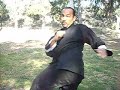 kung fu Ace