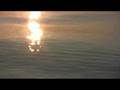 Voices The Gaze of God (I Should Like) Susan Salidor and Peter Buttitta