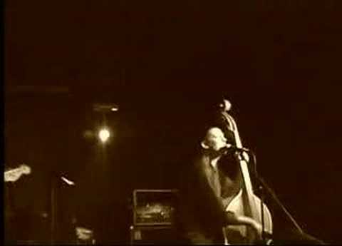 Gadfly Shy Guy Live at Winstons