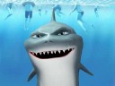 Sharkie