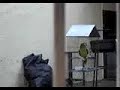 Lol� Cantando \"atirei o pau no gato\"
