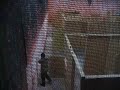 Airsoft 3