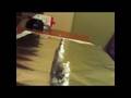 videos de stop motion aluminio