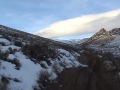 Deer out in the hills......