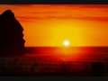 Shapeshifter - One