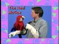 Parrot puppet by Axtell