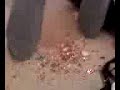 Ass Confetti!! Ass Confetti!!