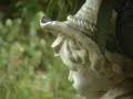 \"Trouble\" in the Garden