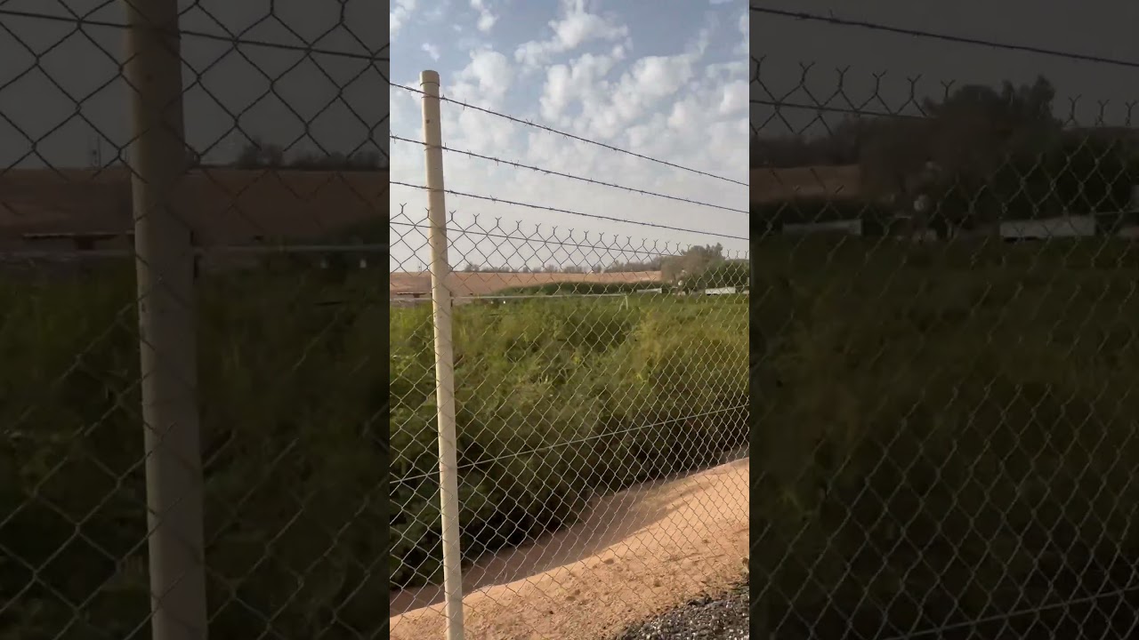 MAIS UMA FAZENDA NA ARÁBIA SAUDITA #irrigacao #irrigacaointeligente #pivocentral