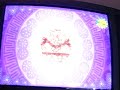 Viva Pinata Pudgeon Romance Game