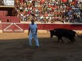concurso de recortes tafalla 2007