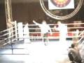 shidokan knock out
