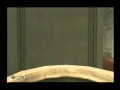 Roman-Stealth-Shadow