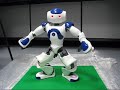 Nao Robot Haka