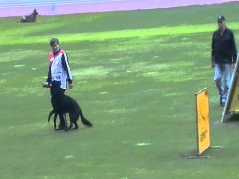 WUSV 2010 - B|-