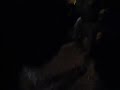Watch '7 ноября Автопробег возле ОВД'