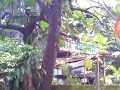 cabayao\