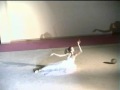 Romina Laurito Exhibition Bollate 2007