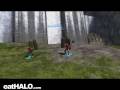 videos de Crazy Angle