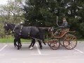 Verkaufspferde Gespann Schweres Warmblut Traditionsfahren Lossburg 2010