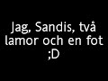 Lite dressyr på och lamorna var åskådare :)