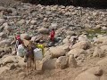 Algarrobo Rey - Carrizalillo - San Lorenzo