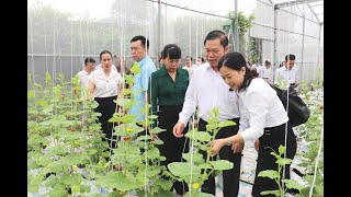 Tổng kết phong trào nông dân sản xuất, kinh doanh giỏi giai đoạn 2017-2020 