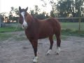 Colby 11/30/09 C