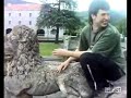 el rey de la selva el rey de la selva