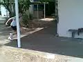 school piggy backk .3gp