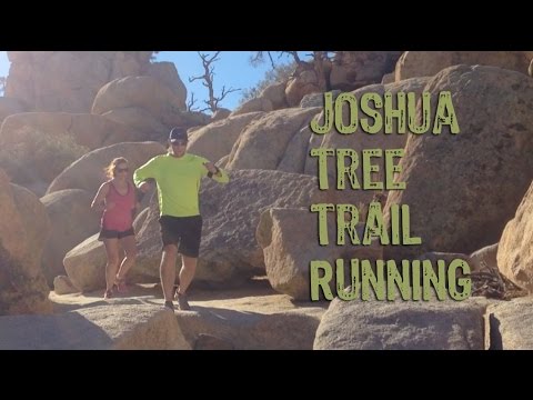 how to replant a joshua tree