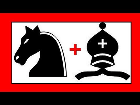 chess knight
