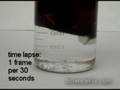 videos de Ziploc Bag Diffusion