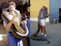 cobra anaconda e o alligator-crocodilo gigante:os insaci�veis!!!