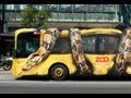 COBRAS-ANACONDA-E-OS