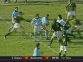 pumas frente a los springboks