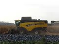 mais dorsen 2007 New-hollandCX780