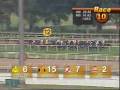 SINGAPORE GOLD CUP 30/11/08 - EL DORADO