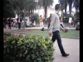 shadows-park