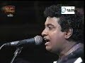 sunflower...live patt 3 sunflower...live patt 3