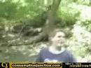 Stupid Videos
