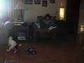 Jack Russell With His Remote Control Car
