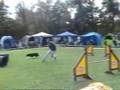 videos de PHV Karlsruhe 05.10.08 Drift Spiel