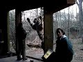 Tiger Enrichment at Bronx Zoo Tiger Enrichment at Bronx Zoo